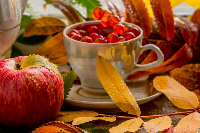 Фото: Irina F24 / Shutterstock