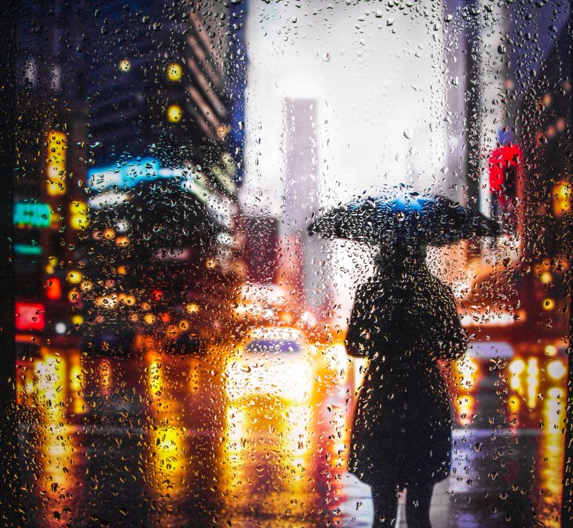 Фото: PalSand / Shutterstock