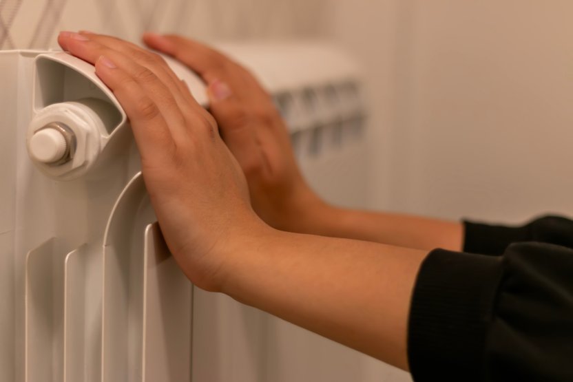 Фото: Anastasija Vujic / Shutterstock