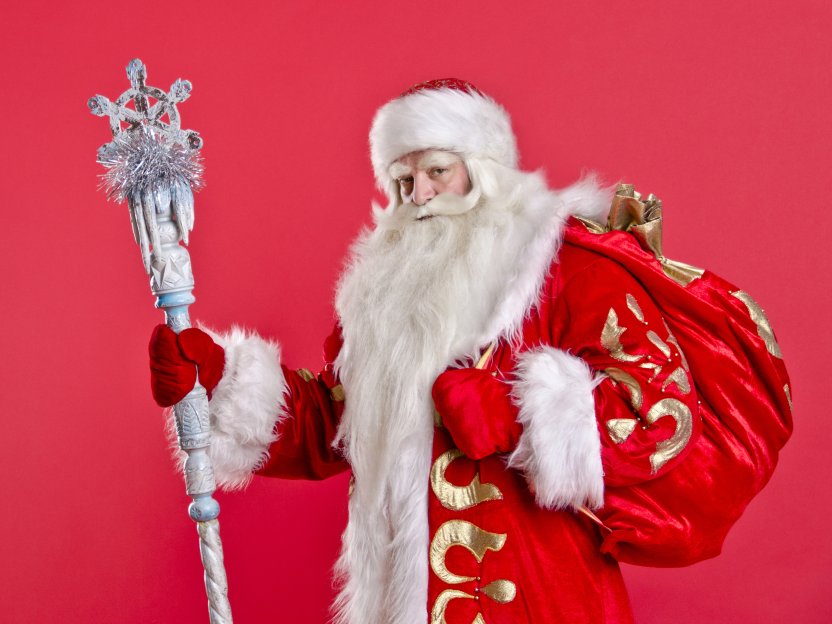 Фото: sergo1972 / Shutterstock