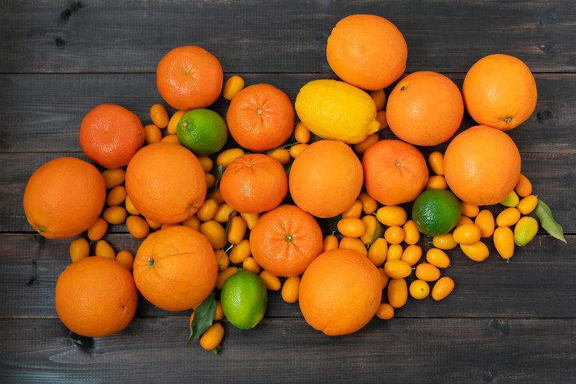 Фото: Arthur Kochiev / Shutterstock