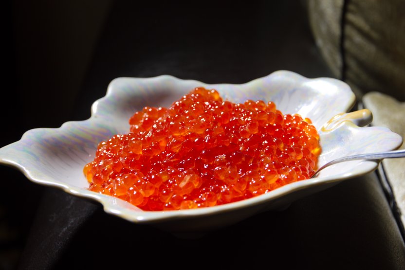 Фото: BurAnd / Shutterstock