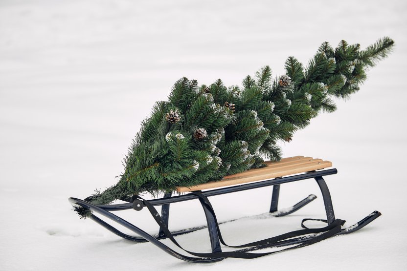 Фото: ORION PRODUCTION / Shutterstock