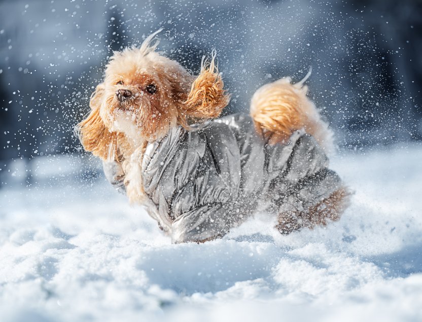 Фото: The Len / Shutterstock