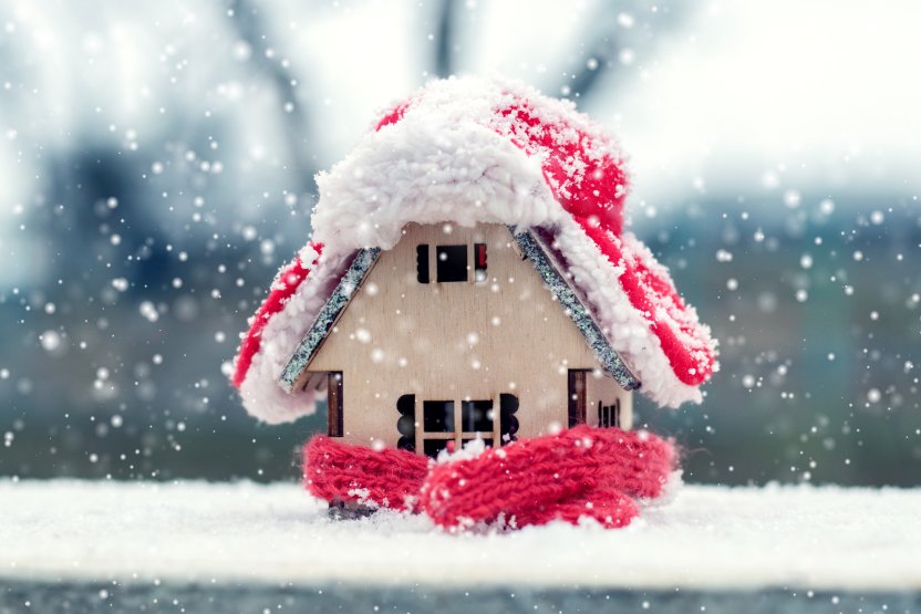 Фото: MVolodymyr / Shutterstock