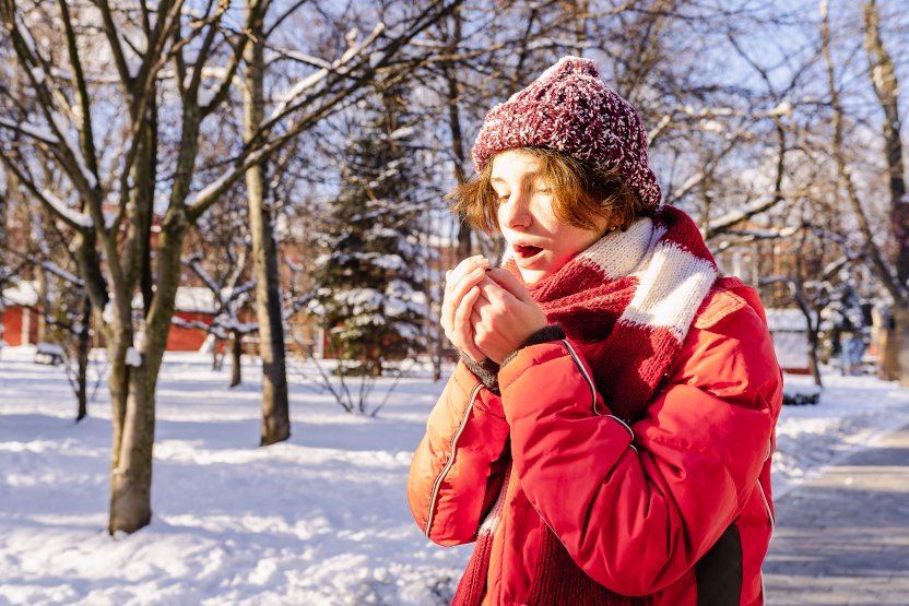 Фото: larisa Stefanjuk / Shutterstock