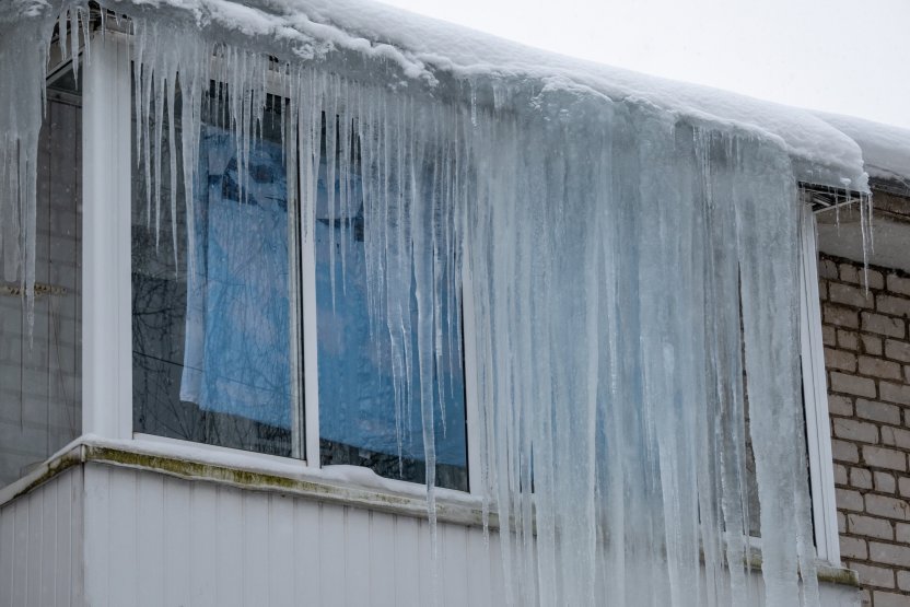 Фото: Prilutskiy / Shutterstock