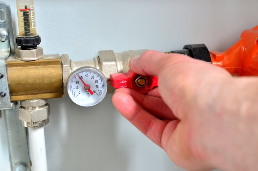 Фото: Maksim Safaniuk / Shutterstock