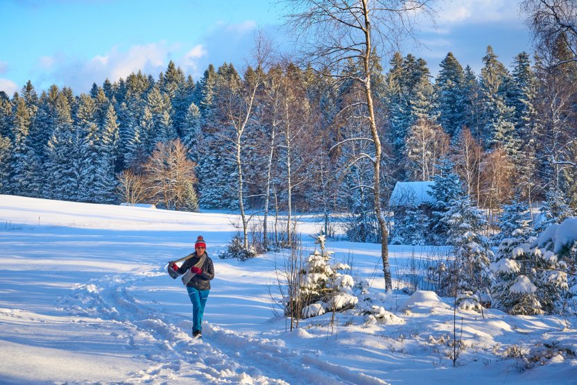 Фото: DmyTo / Shutterstock