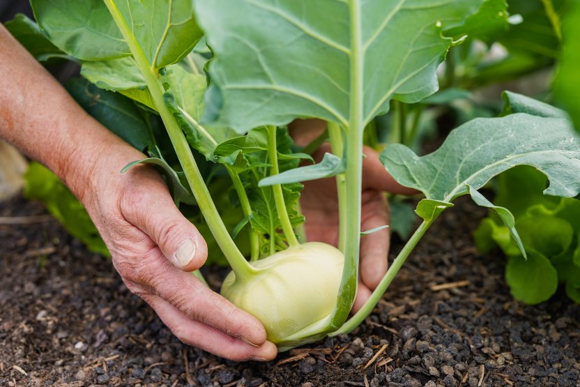 Фото: Sabrina Bracher / Shutterstock