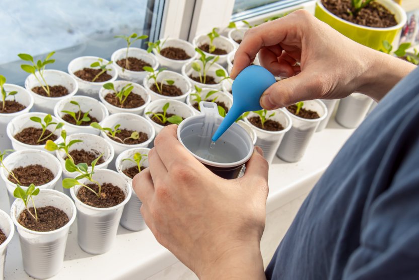 Фото: Svetlyachock / Shutterstock