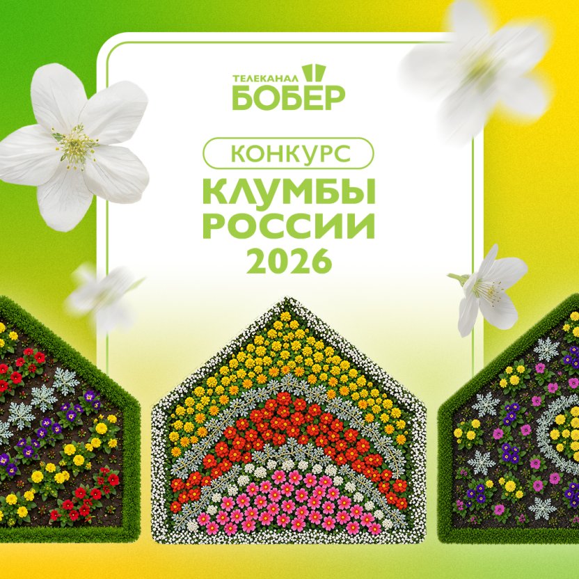 Всероссийский конкурс «Клумбы России 2026» — на телеканале «Бобёр»!