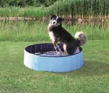 Бассейн для собак "Trixie", 80x20 см, сине-голубой