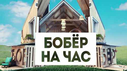 Бобёр на час